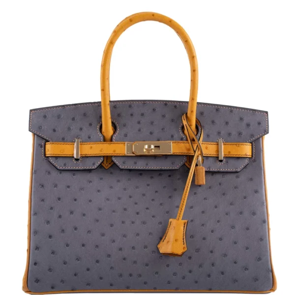Best Quality Hermès Replicas HSS Birkin 30 Gris Agate & Saffron Ostrich GHW - Exotic Creations