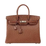 Best Hermès-Inspired Bags 2025 Birkin 35 Ostrich Etrusque PHW - Exotic Creations