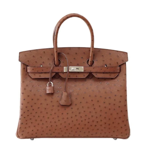 Best Hermès-Inspired Bags 2025 Birkin 35 Ostrich Etrusque PHW - Exotic Creations