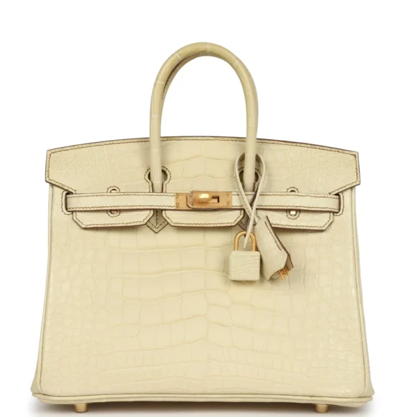 Best Hermès-Inspired Bags 2025 | HSS Birkin 25 Matte