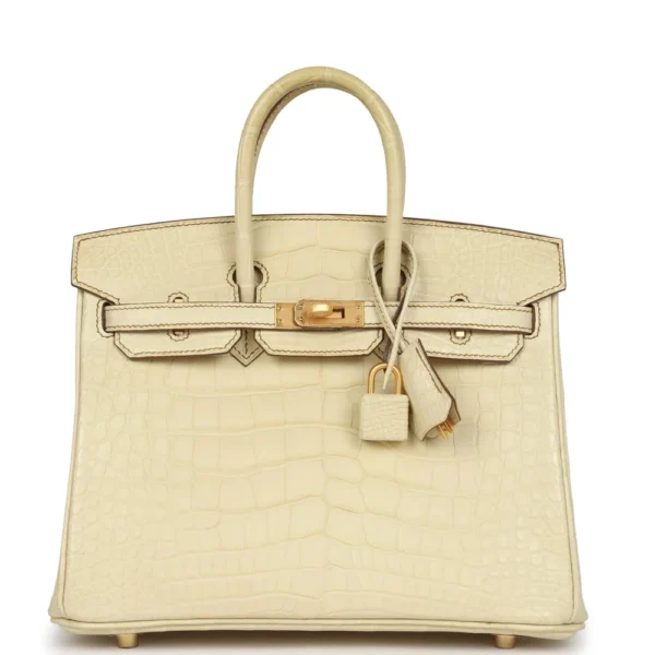 Best Hermès-Inspired Bags 2025 | HSS Birkin 25 Matte