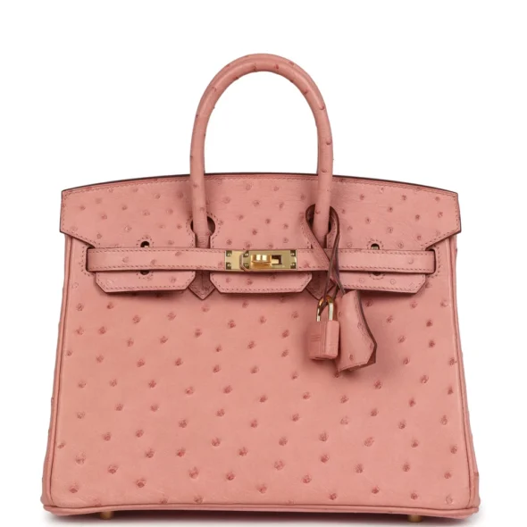 Best Replica Hermès Birkin 25 Terre Cuite Ostrich GHW - Exotic Creations