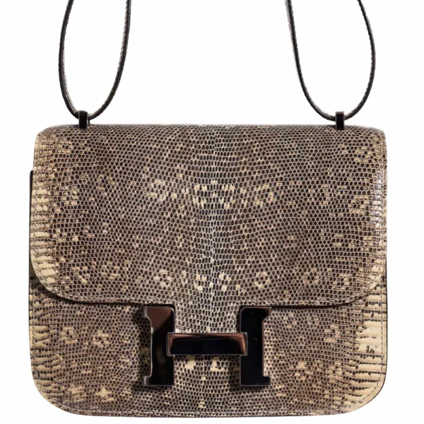 Best Replica Hermès Mini Constance 18 Ombre Lizard PHW - Exotic Creations