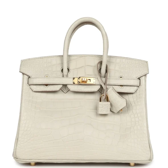 Hermès Dupe Birkin 25 Beton Matte Alligator GHW