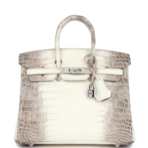 Hermès Dupe Birkin 25 Himalaya Niloticus Crocodile Diamond Encrusted PHW - Exotic Creations