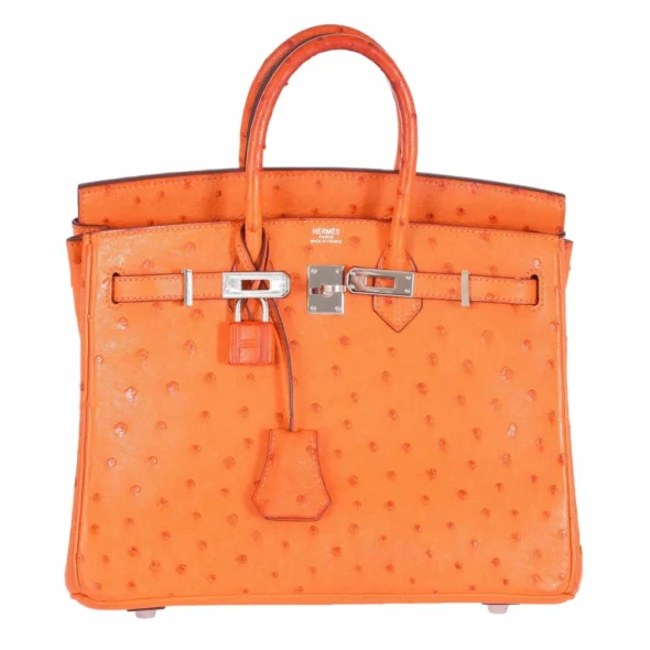 Hermès Dupe Birkin 25 Ostrich Tangerine Orange Palladium - Exotic Creations