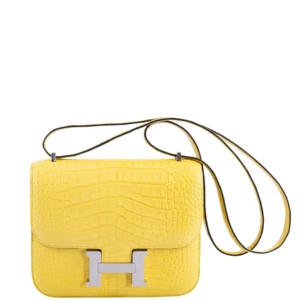 Hermès Dupe Constance 18 Mimosa Matte Alligator PHW - Exotic Creations