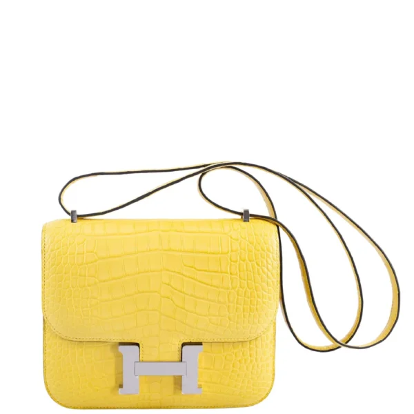 Hermès Dupe Constance 18 Mimosa Matte Alligator PHW - Exotic Creations