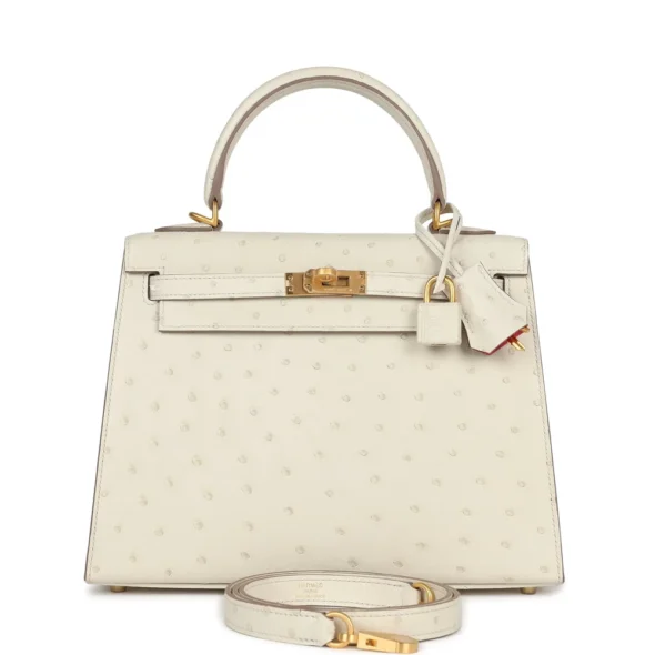 Hermès Dupe HSS Kelly 25 Beton Ostrich Verso PBHW - Exotic Creations