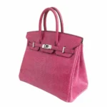 Hermès-Inspired Designer Dupes Birkin 25 Fuchsia Pink Lizard PHW - Exotic Creations Side1
