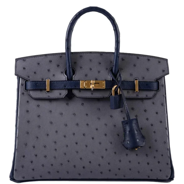 Hermès-Inspired Designer Dupes HSS Birkin 25 Gris Agate & Blue Iris Ostrich GHW - Exotic Creations