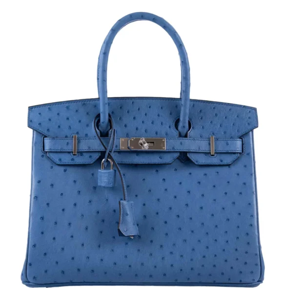 Hermès-Inspired Luxury Handbags Birkin 30 Mykonos Ostrich PHW - Exotic Creations