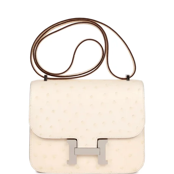 Hermès-Inspired Luxury Handbags Constance 18 Nata Ostrich PHW - Exotic Creations