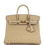 Hermès Replica Collection 2025 Birkin 25 Trench Ostrich GHW - Exotic Creations