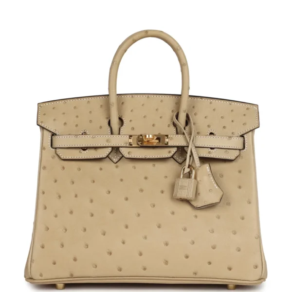 Hermès Replica Collection 2025 Birkin 25 Trench Ostrich GHW - Exotic Creations