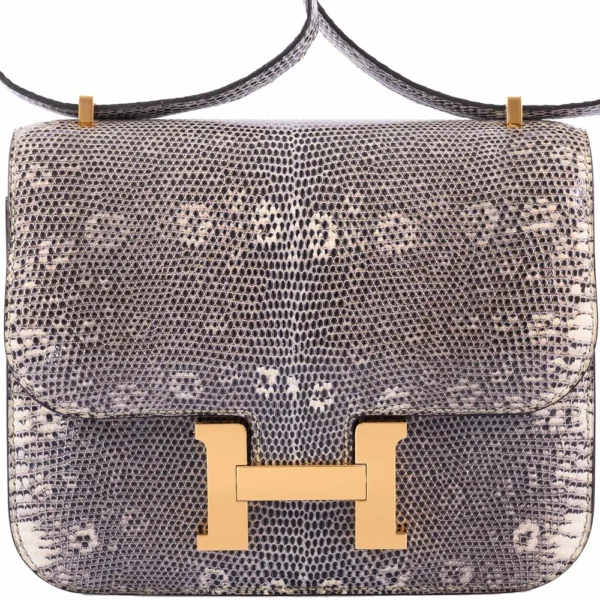 Hermès Replica Constance 18 Ombre Lizard GHW - Exotic Creations