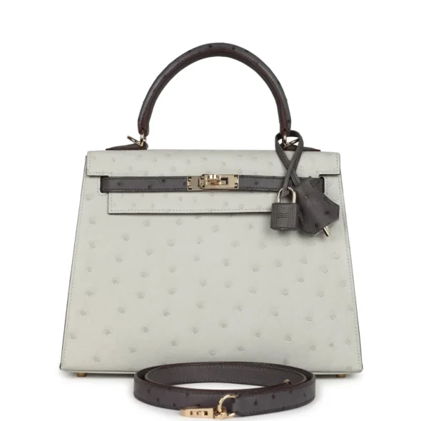 Hermès Replica HSS Kelly 25 Gris Perle & Graphite Ostrich PBHW - Exotic Creations