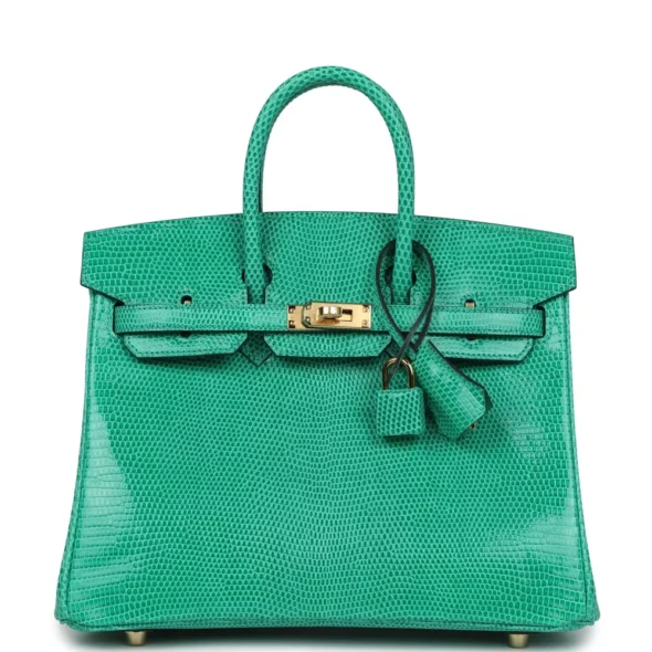 High-End-Hermès-Inspired Birkin 25 Menthe Varanus Niloticus Lizard GHW - Exotic Creations