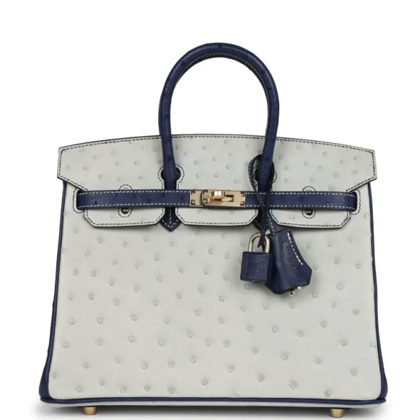 High-End-Hermès-Inspired HSS Birkin 25 Gris Perle Bleu Iris Ostrich PBHW - Exotic Creations