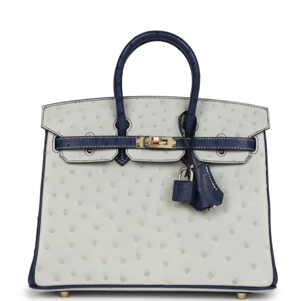 High-End-Hermès-Inspired HSS Birkin 25 Gris Perle Bleu Iris Ostrich PBHW - Exotic Creations