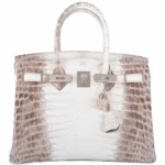 Luxury Hermès-Inspired Handbags Birkin 25 Himalayan White Niloticus Crocodile PHW - Exotic Creations