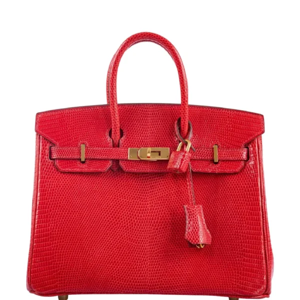 Luxury Hermès-Inspired Handbags Birkin 25 Rouge Vif Salvator Lizard GHW - Exotic Creations