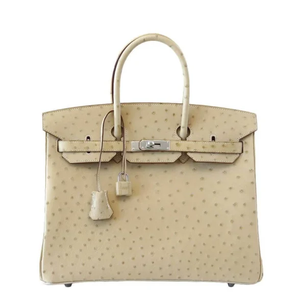 Luxury Hermès-Inspired Handbags Birkin 35 Ostrich Parchemin PHW - Exotic Creations