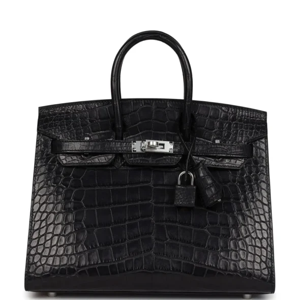 Mirror Quality Hermès Birkin 25 Black Matte Alligator Mississippiensis PHW - Exotic Creations
