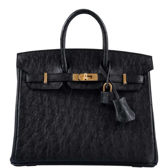 Mirror Quality Hermès Birkin 25 Black Ostrich GHW - Exotic Creations