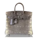 Mirror Quality Hermès Birkin 25 Ombre Lizard PHW - Exotic Creations