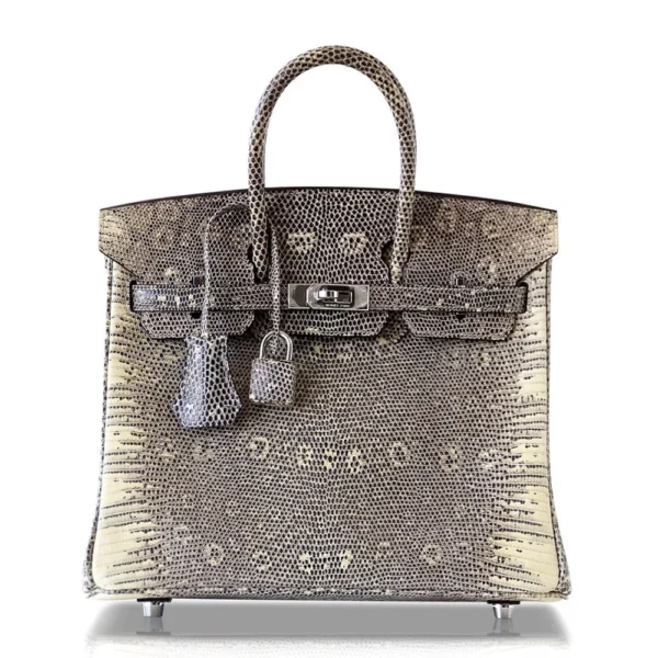 Mirror Quality Hermès Birkin 25 Ombre Lizard PHW - Exotic Creations