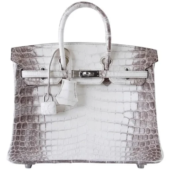 Mirror Quality Hermès Birkin 30 Blanc Himalaya Crocodile PHW - Exotic Creations