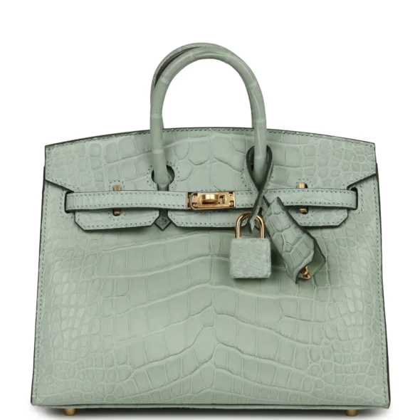 Mirror Quality Hermès Birkin 20 Vert Deau Matte Alligator