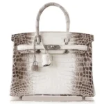 Mirror Quality Hermès Replicas Birkin 25 Blanc Himalaya Crocodile PHW - Exotic Creations