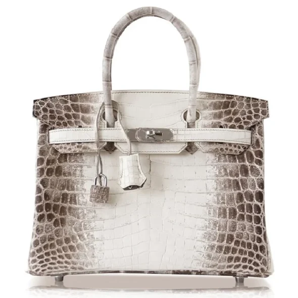 Mirror Quality Hermès Replicas Birkin 25 Blanc Himalaya Crocodile PHW - Exotic Creations