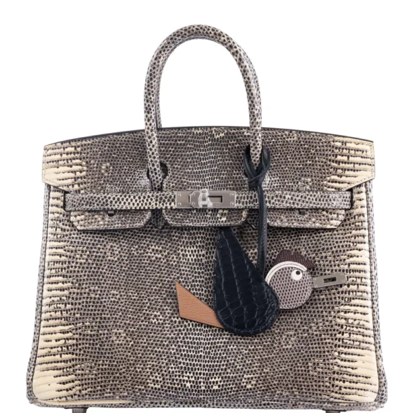 Mirror Quality Hermès Replicas Birkin 25 Ombre Lizard PHW - Exotic Creations
