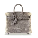Mirror Quality Hermès Replicas Birkin 25 Ombre Lizard PHW - Exotic Creations