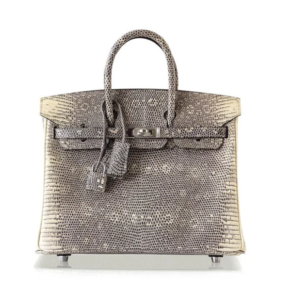 Mirror Quality Hermès Replicas Birkin 25 Ombre Lizard PHW - Exotic Creations