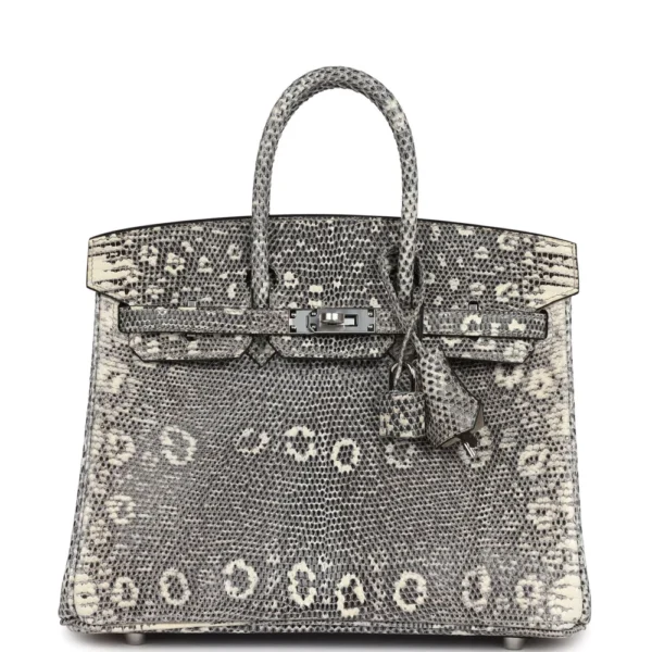 Mirror Quality Hermès Replicas Birkin 25 Ombre Varanus Salvator Lizard PHW - Exotic Creations